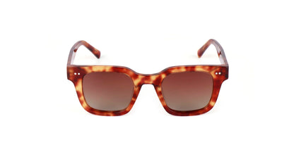 Mooloo Sunglasses - Bright Amber Tortoise